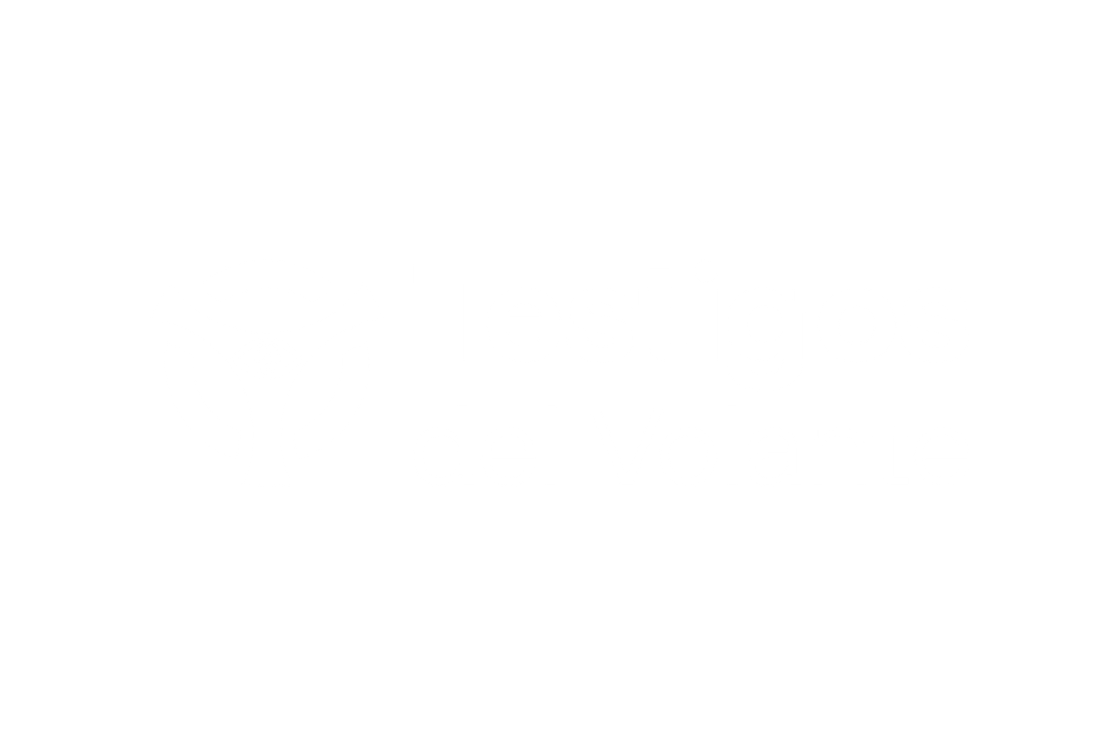 Testigos del Volante